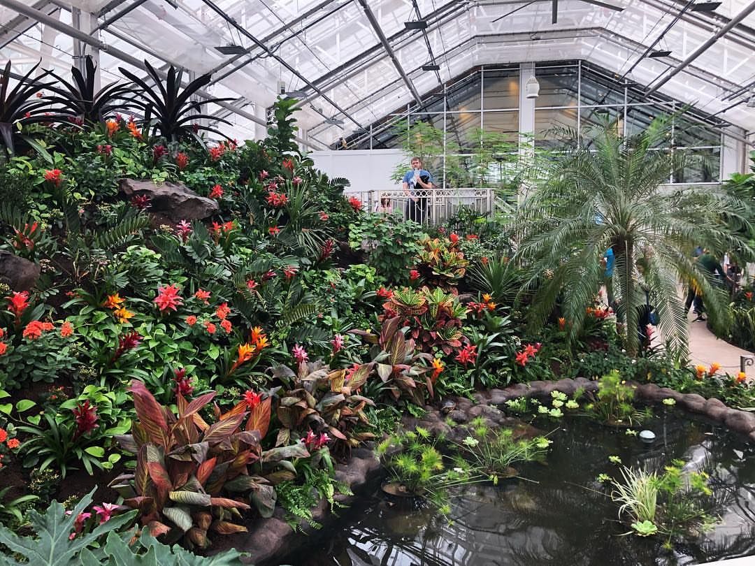Butterfly Biosphere — project photo 3
