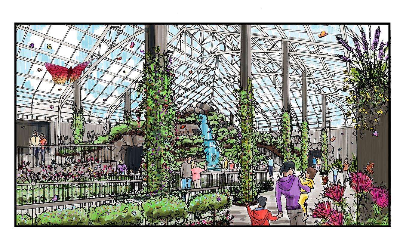 Butterfly Biosphere — project photo 4