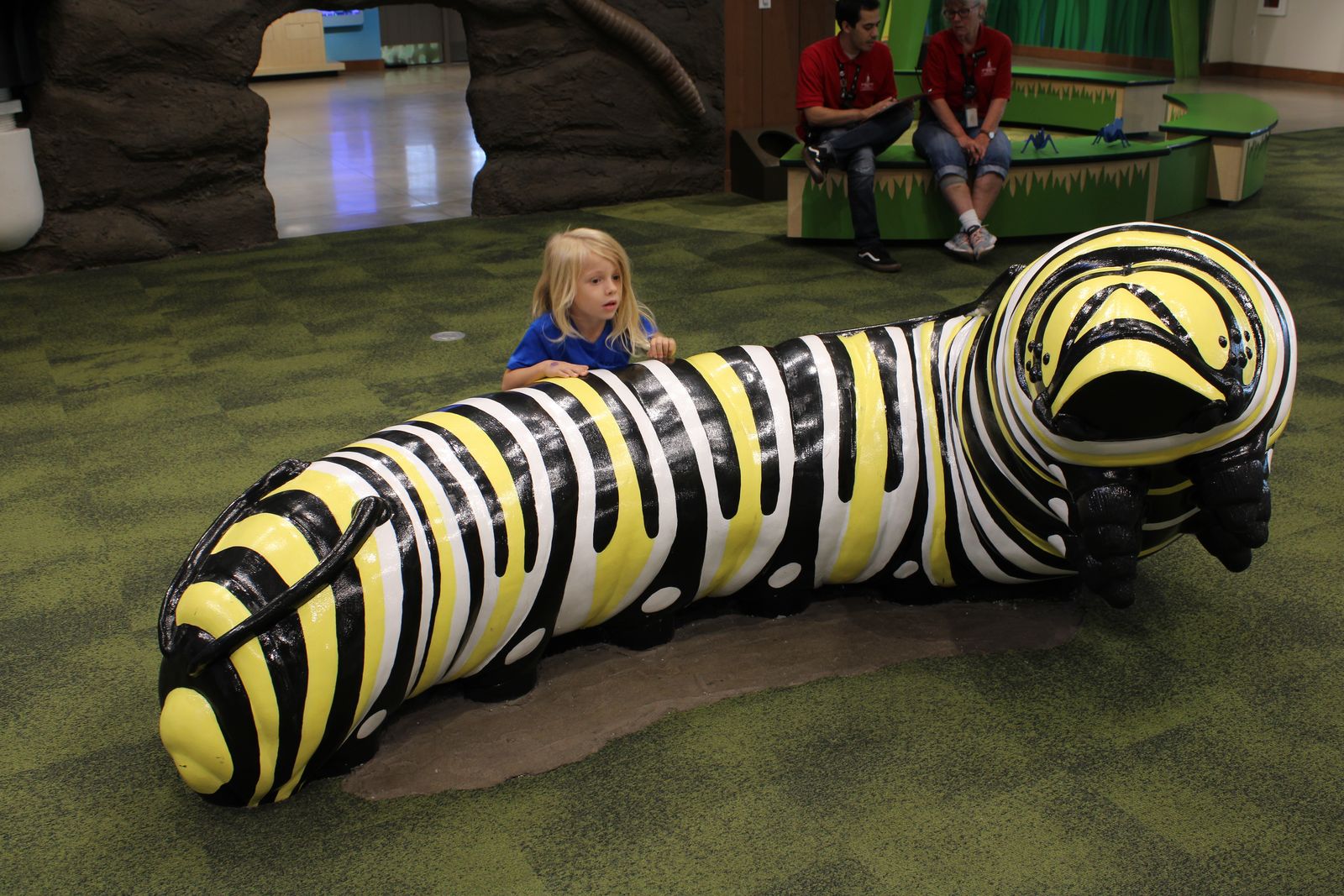 Butterfly Biosphere — project photo 5
