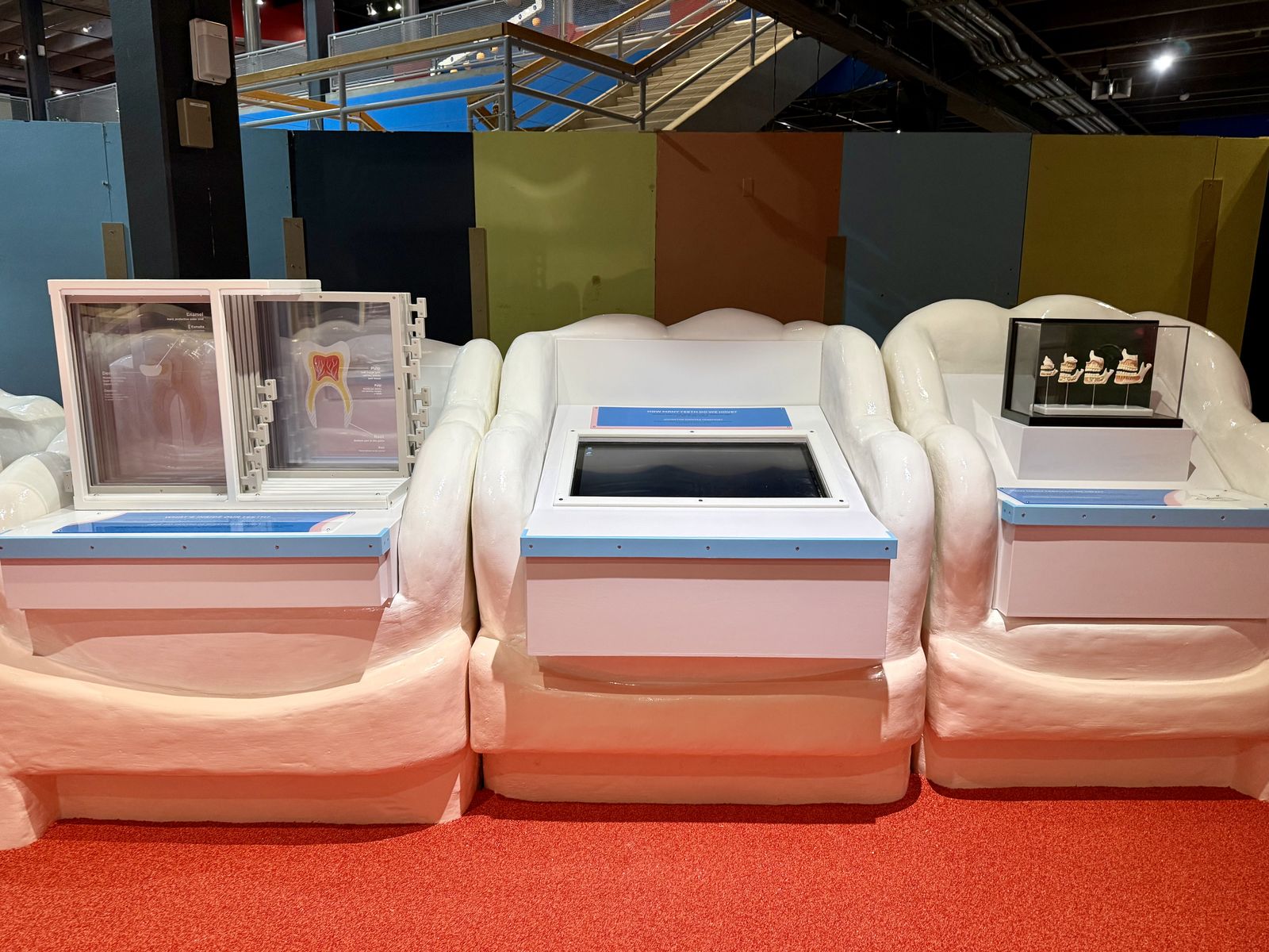 Mighty Mouth Dental Exhibit — project photo 1