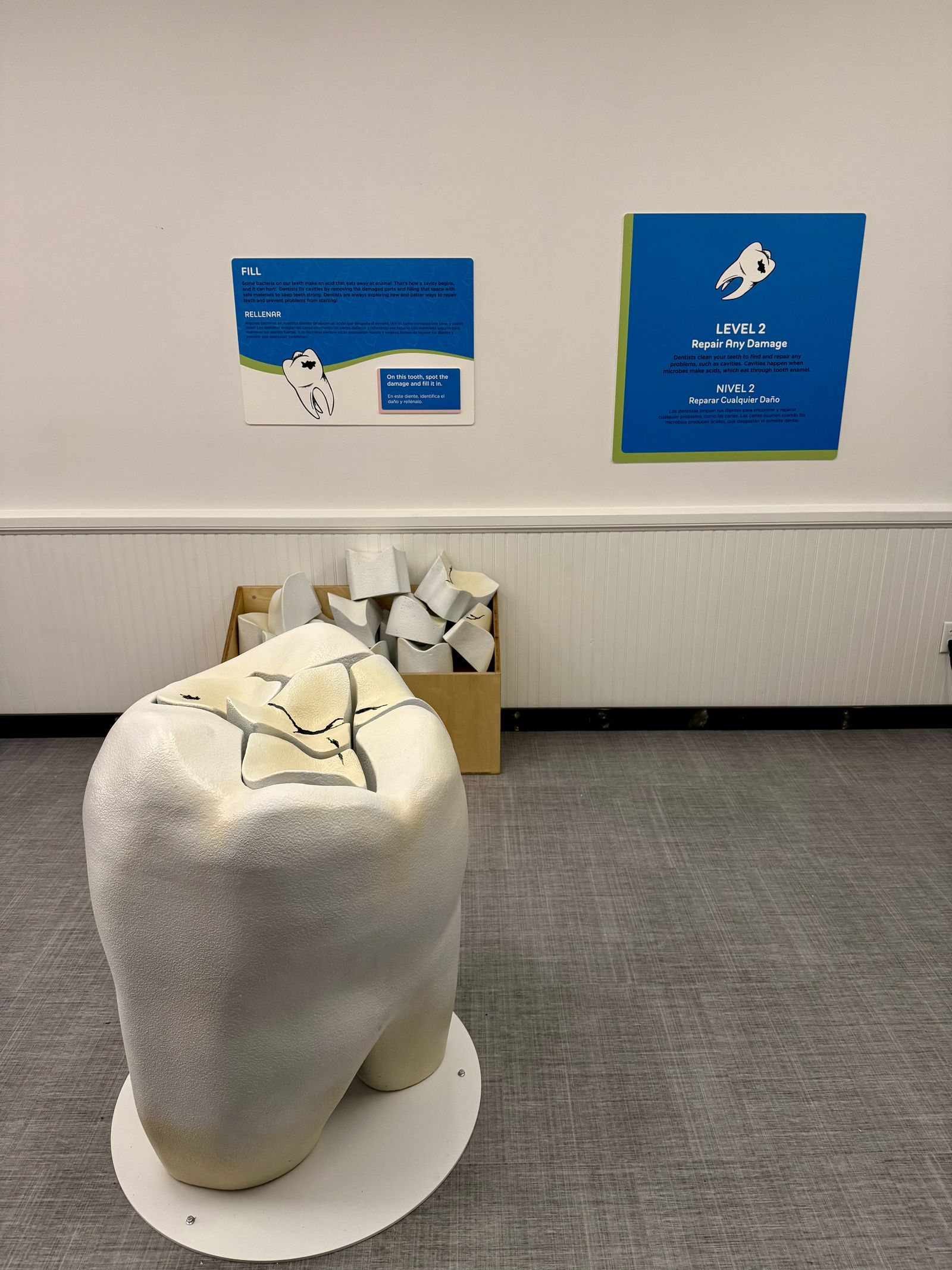 Mighty Mouth Dental Exhibit — project photo 6