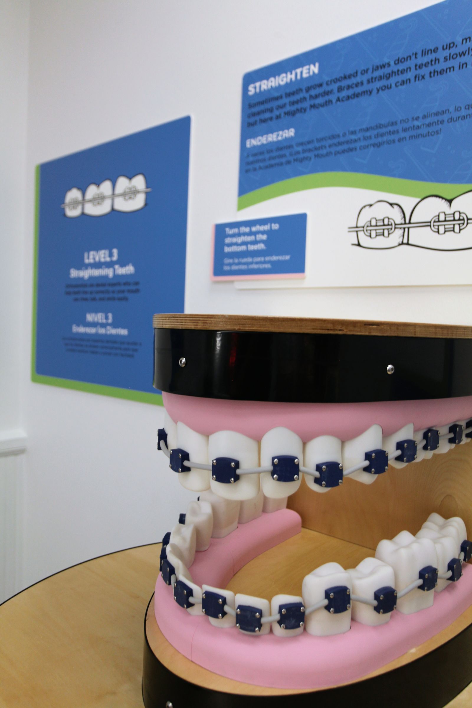 Mighty Mouth Dental Exhibit — project photo 8